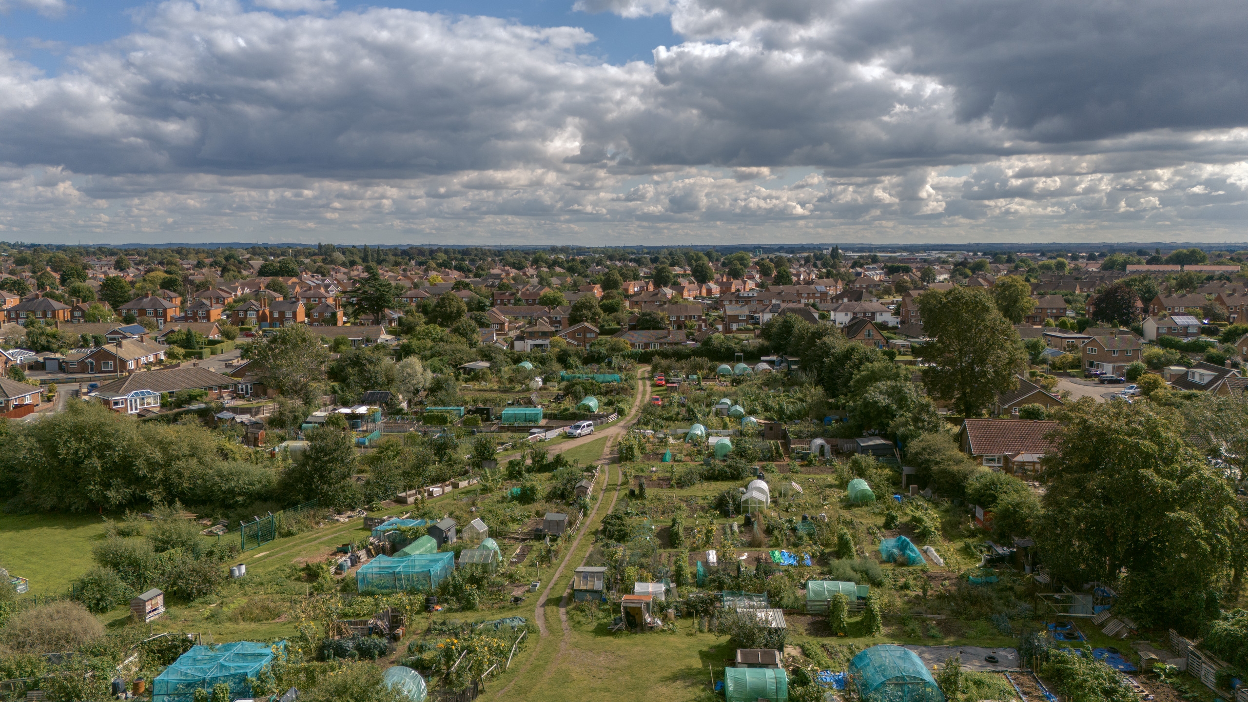Aerial photograph of allotment gardens leading towards rows of suburban homes